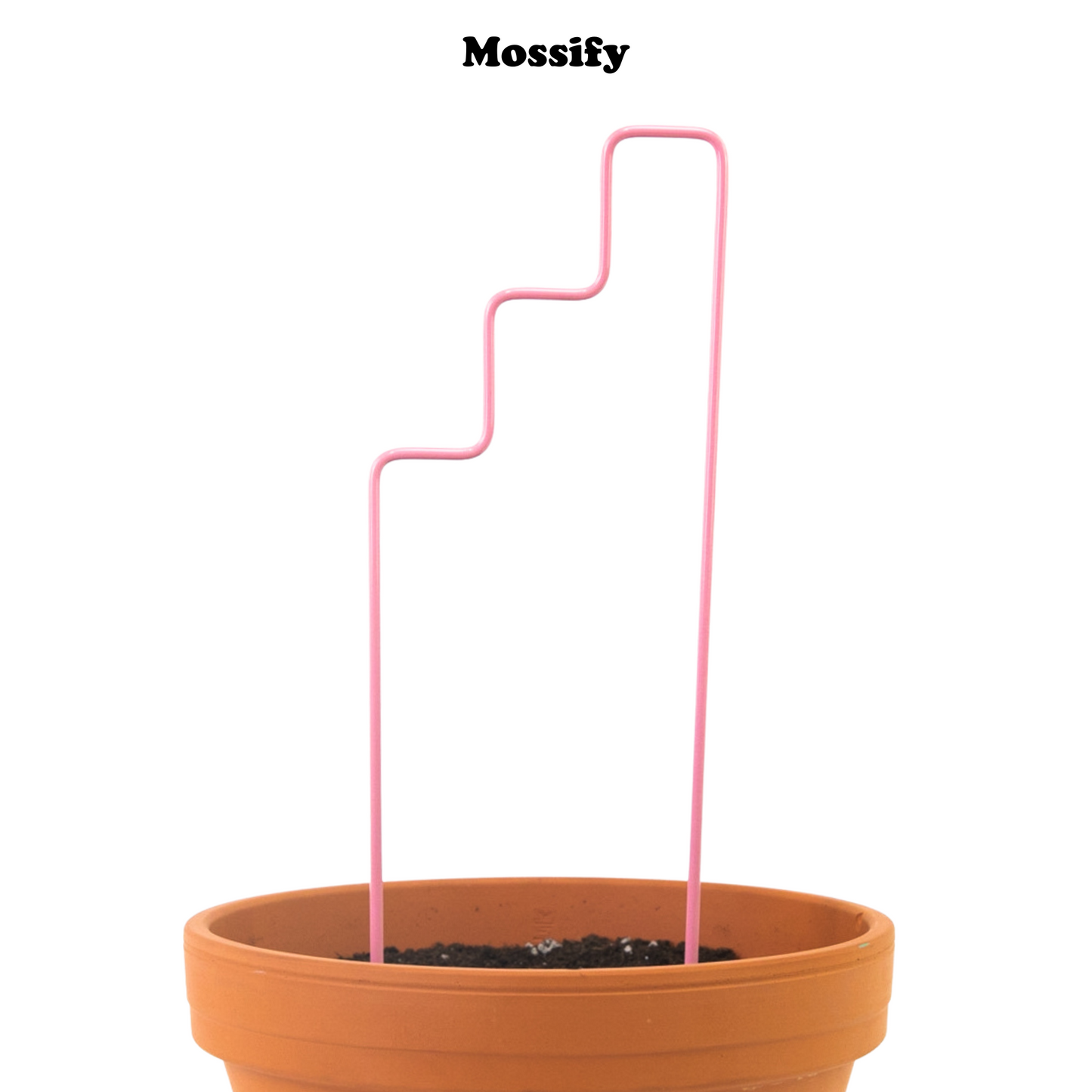 "Plant Stairs" Metal Trellis Mossify