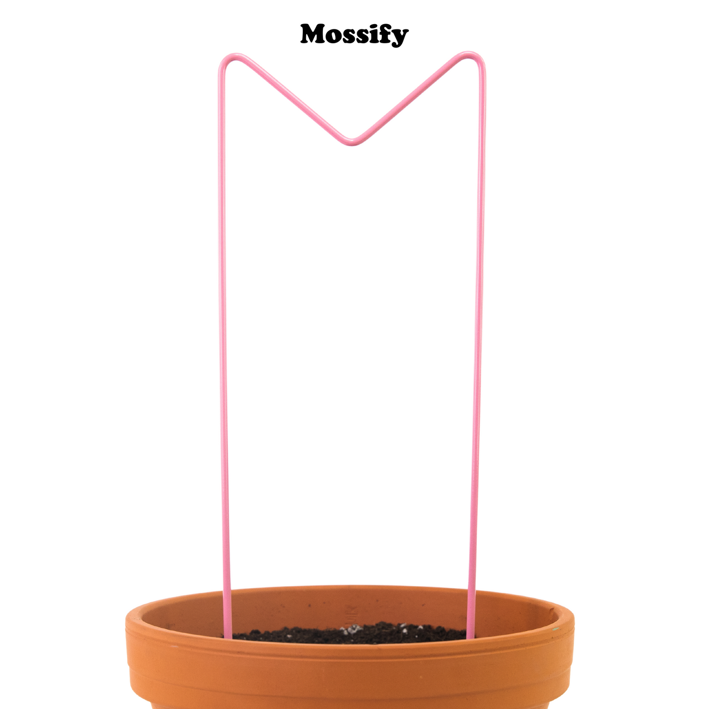 "M" Metal Trellis Mossify