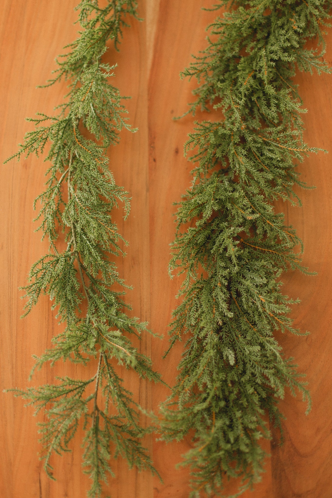 Cedar Garlands Eucalypt Co.