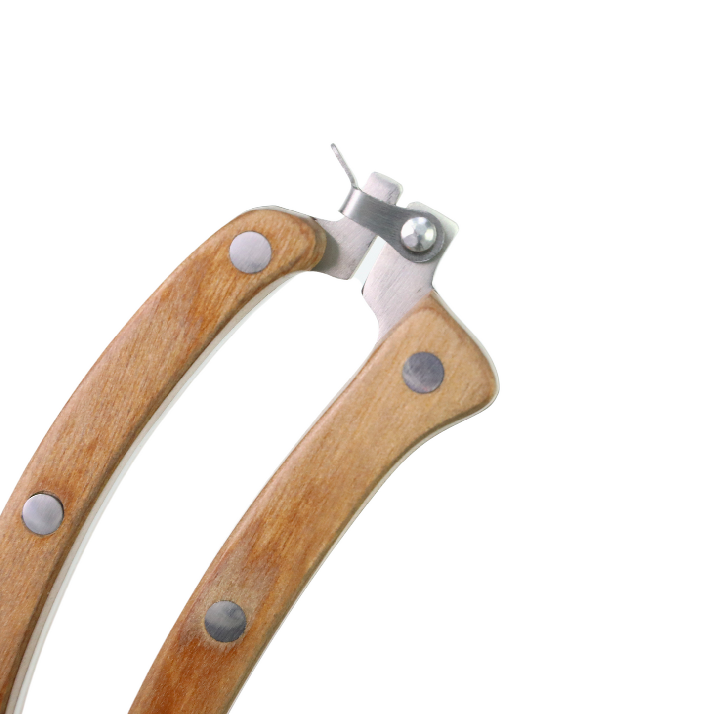 Cisailles de Jardin Fines Polyvalentes – Mossify Mossify