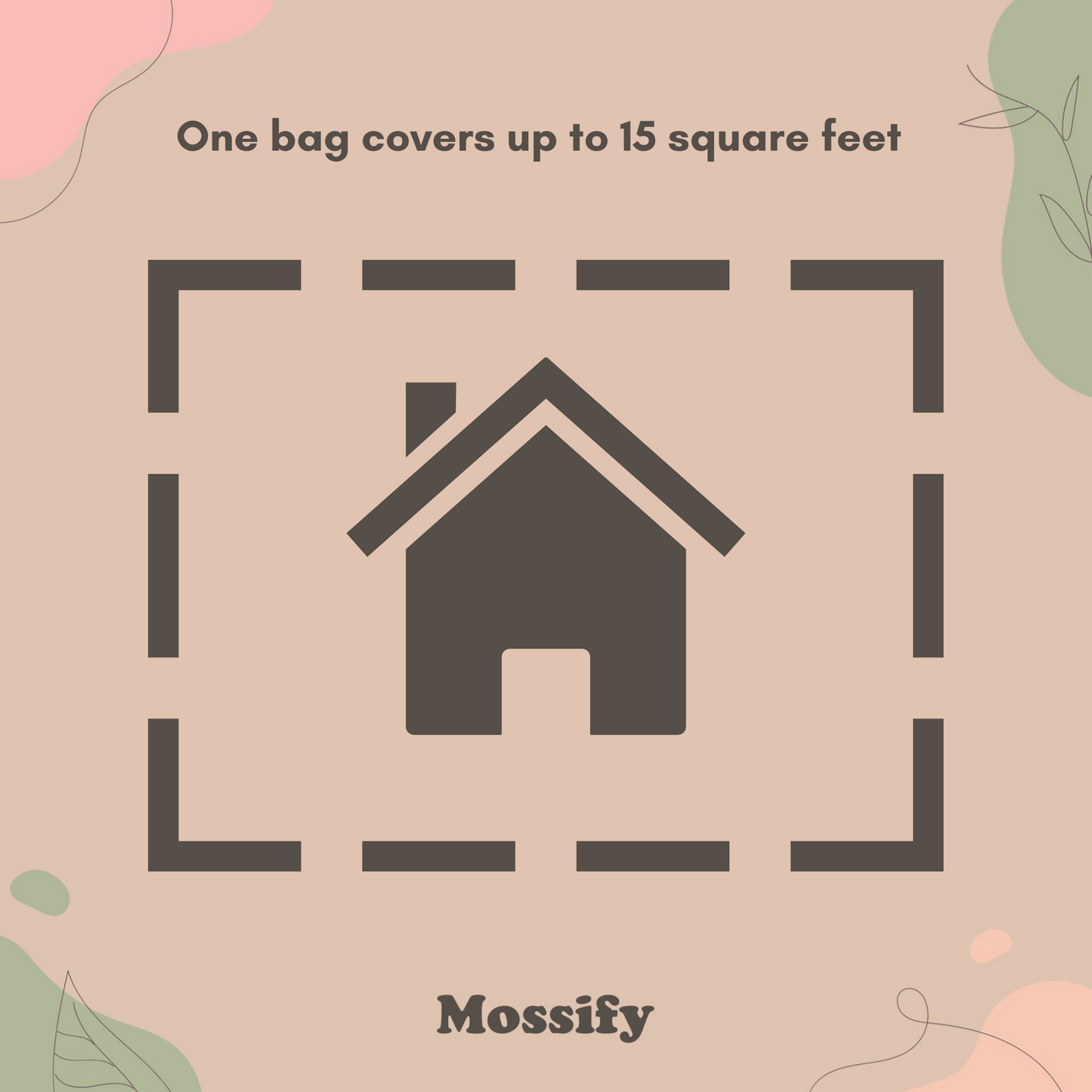 Growable Moss for the Shade Mossify