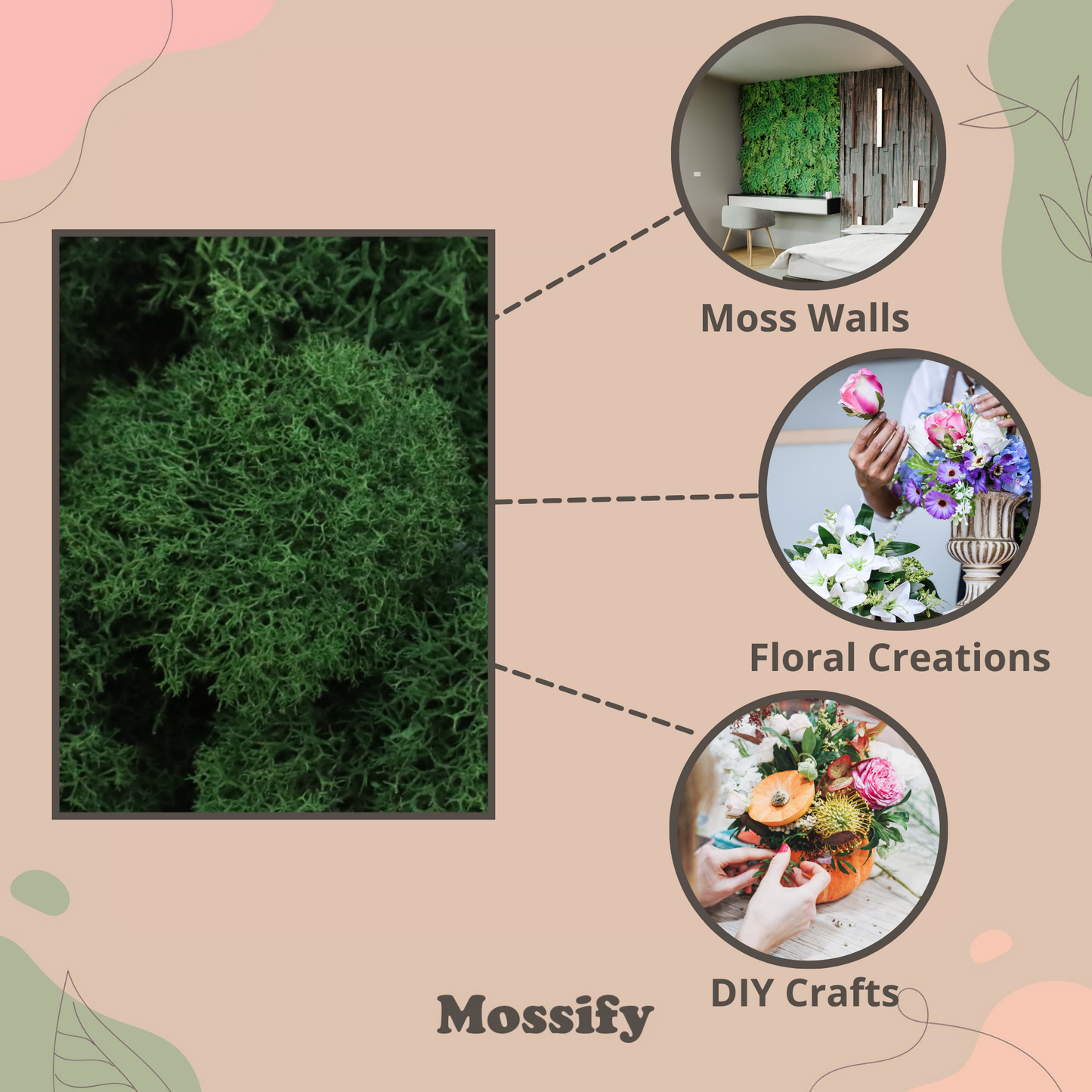 Premium Preserved Reindeer Moss Mossify