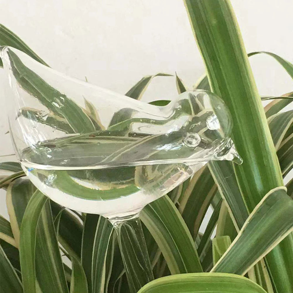 Globes d’Auto-Arrosage Oiseaux plante