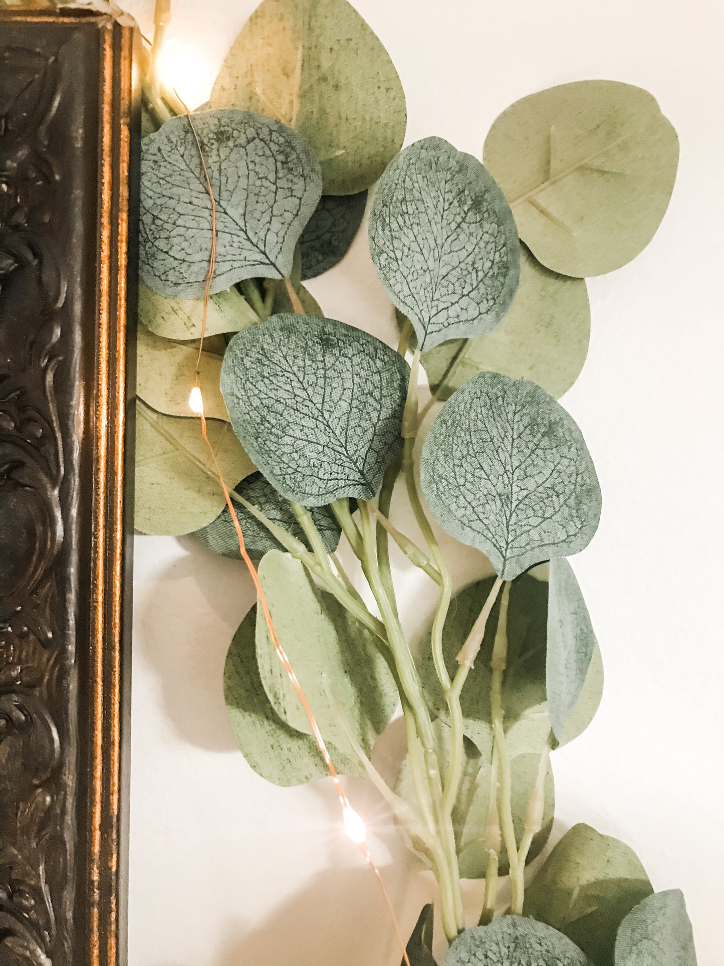 Fairy Lights Eucalypt Co.