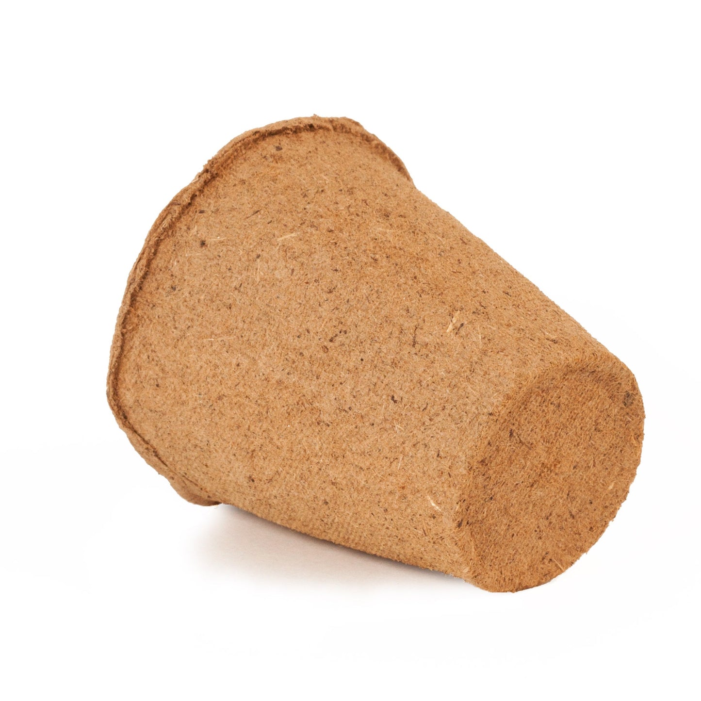 2" Naked Pots | Plantable Seed Starter Pots - Organic & Biodegradable (24 pack) Daniel's Plants