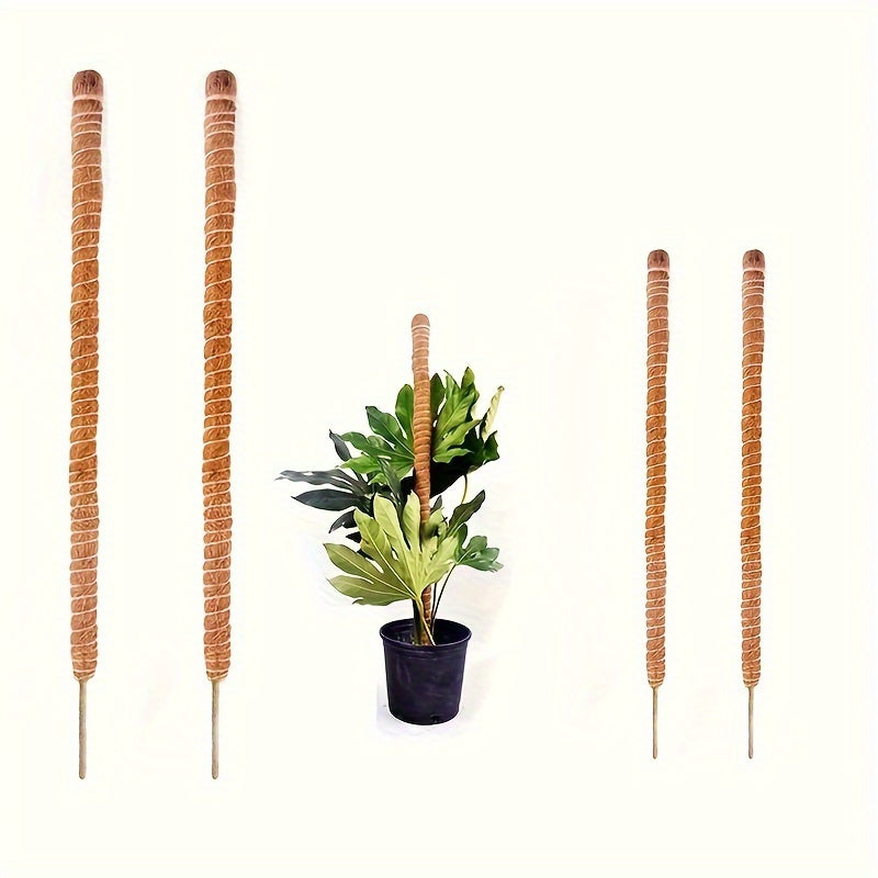 differents formats de tuteur