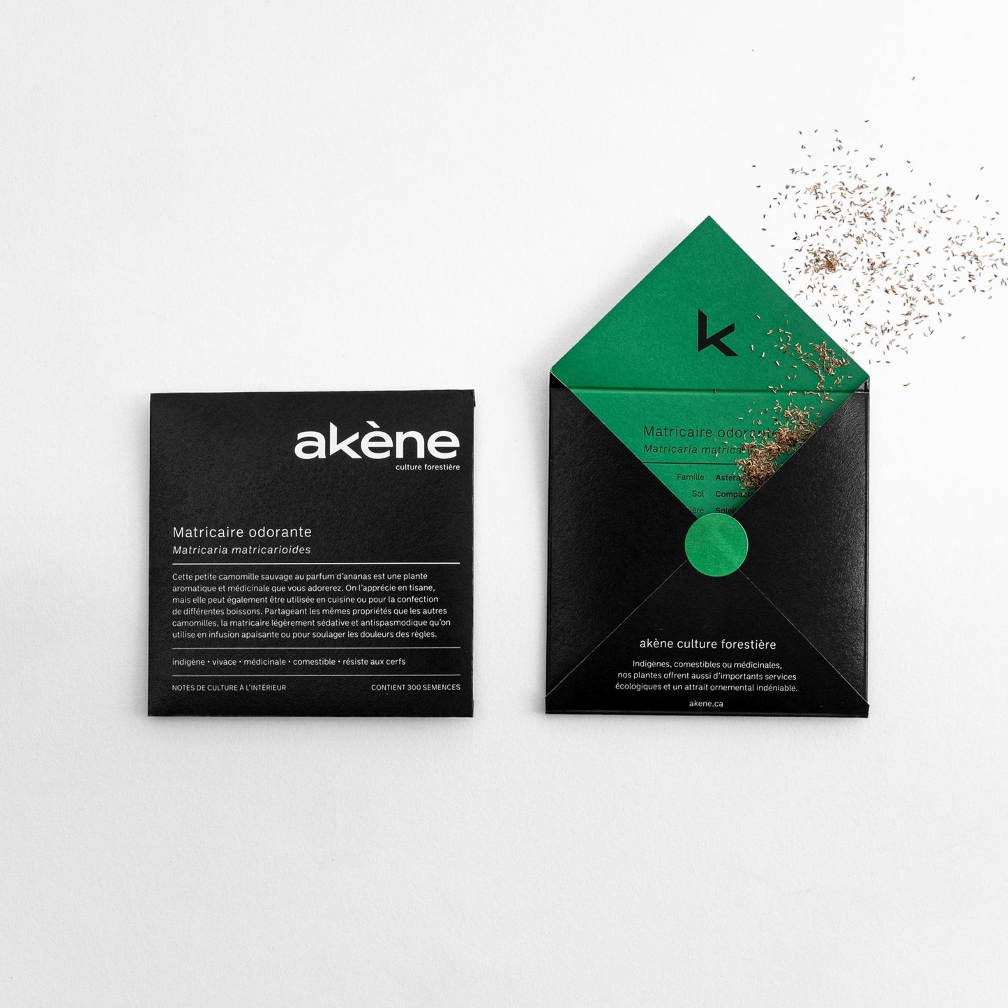 Semences - Matricaire odorante Akène, culture forestière