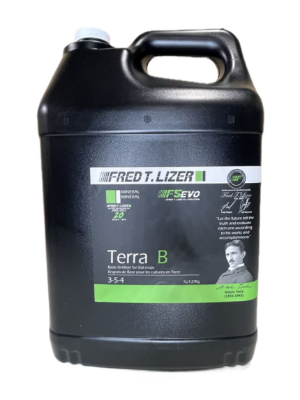 terra-b-10l-Fred T Lizer