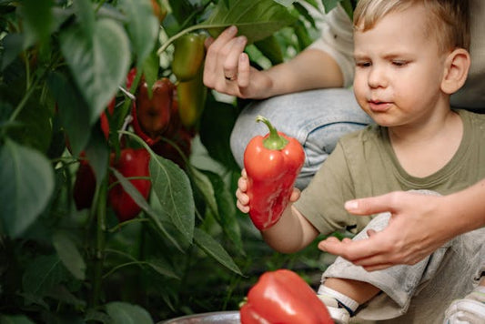 Maman, pourquoi les légumes changent de couleur en été?