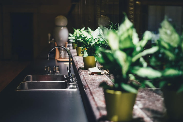 Éclairage pour plantes intérieures