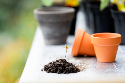 Accessoires de jardinage