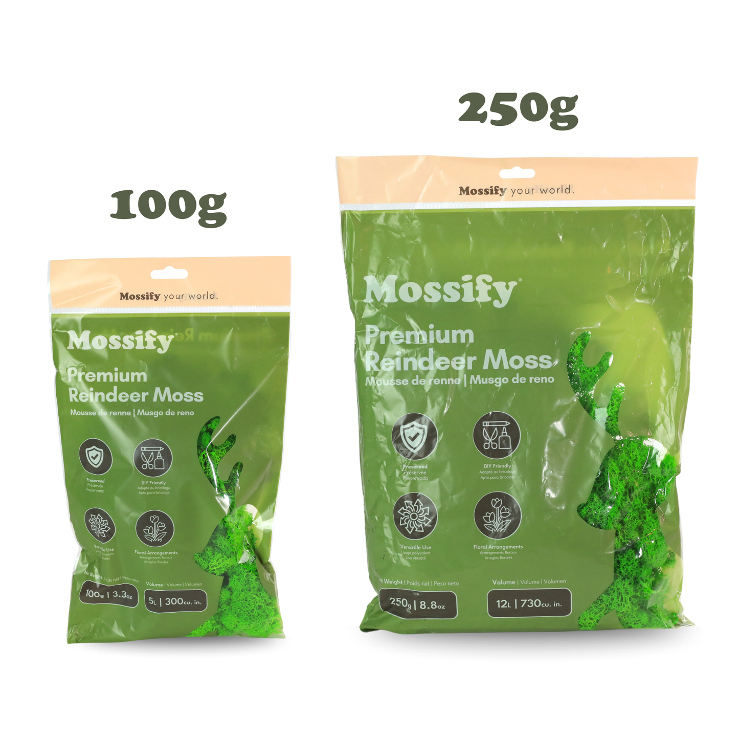 Premium Reindeer Moss Bag (100g & 250g) - NEW! Mossify