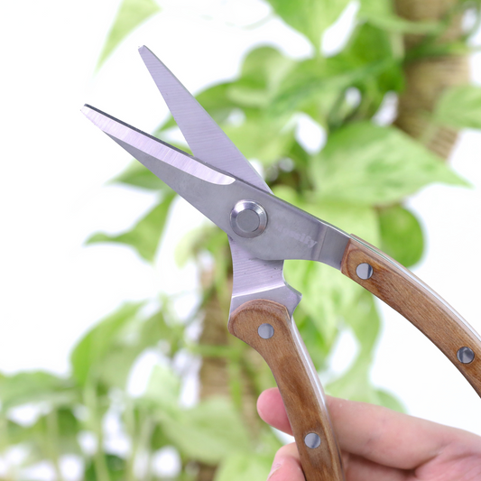 Cisailles de Jardin Fines Polyvalentes – Mossify Mossify