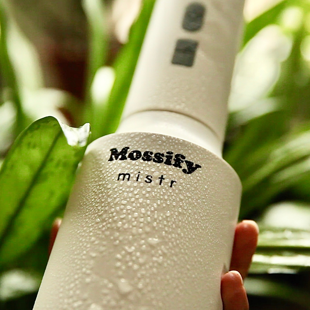 The Original Mossify mistr™ Mossify