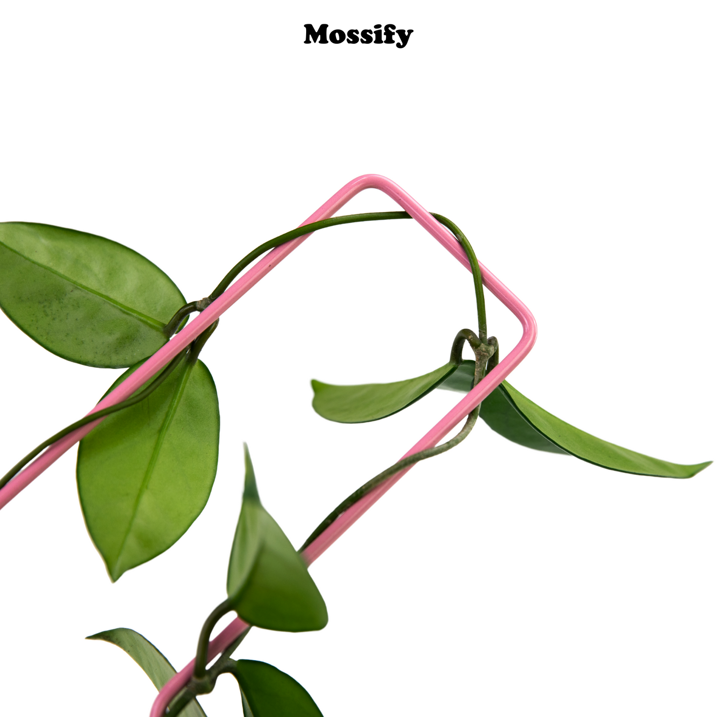 "Check Mark" Metal Trellis Mossify