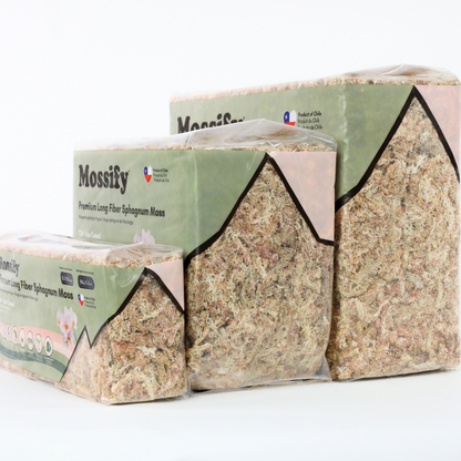 Premium Sphagnum Moss Mossify