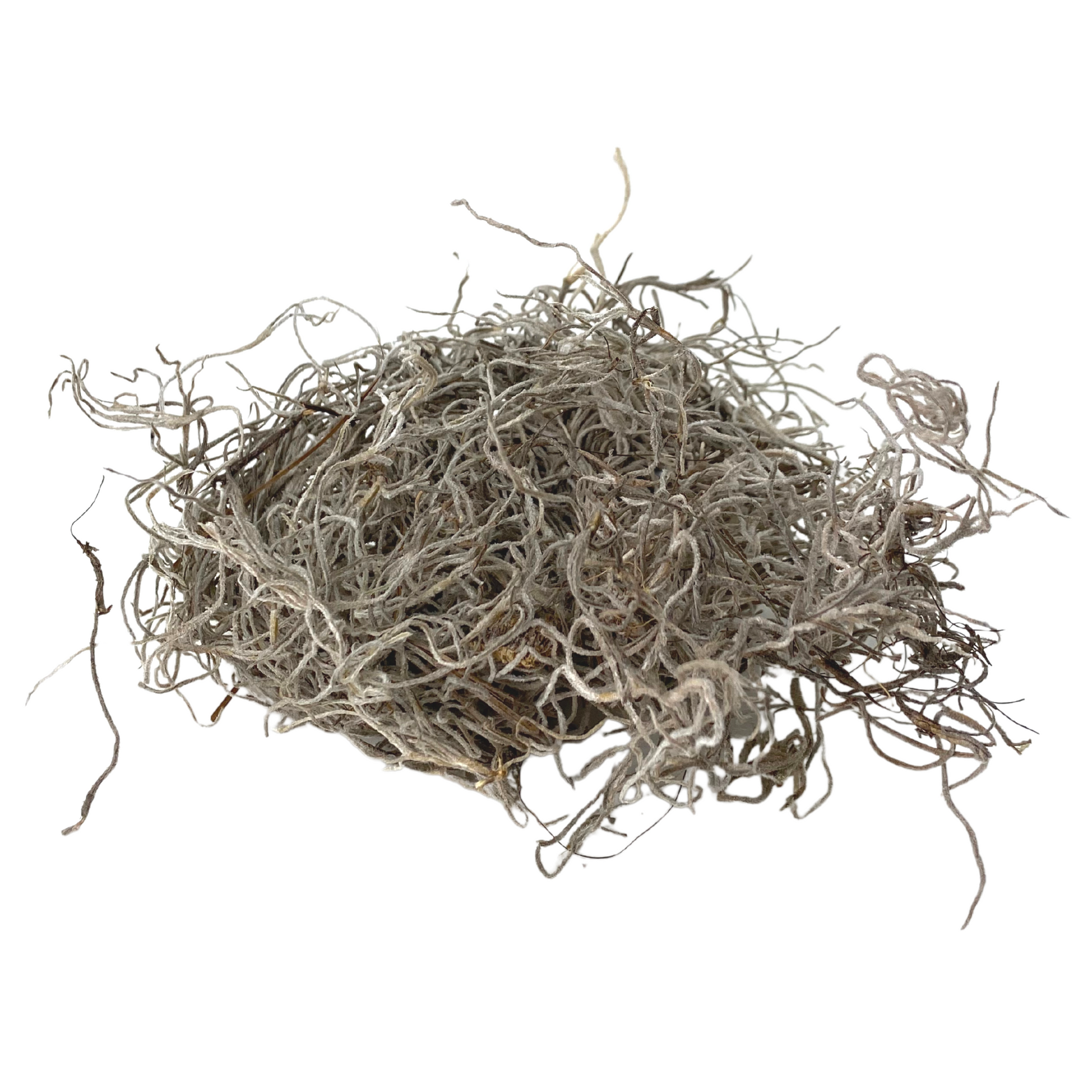 Premium Spanish Moss Mossify