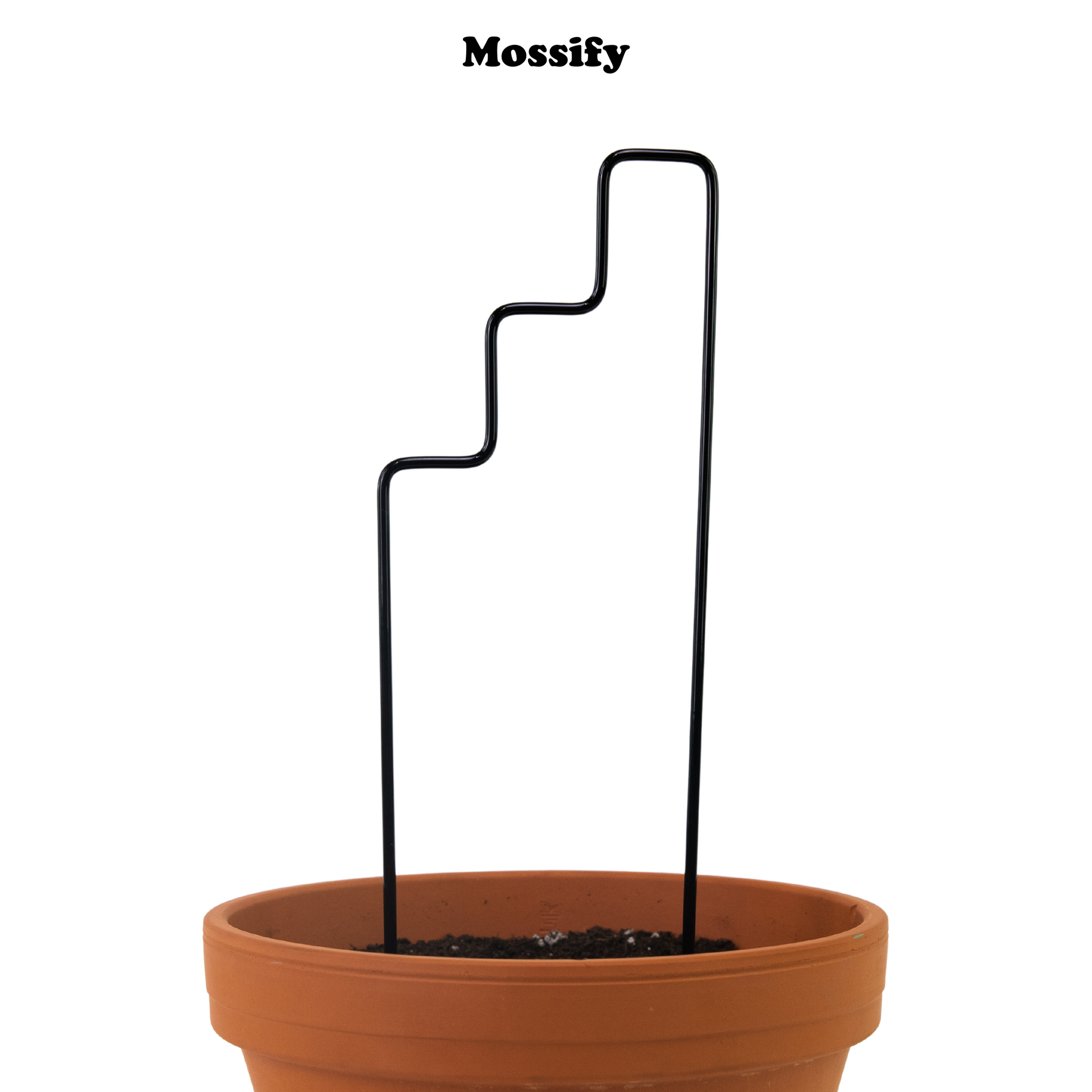 "Plant Stairs" Metal Trellis Mossify