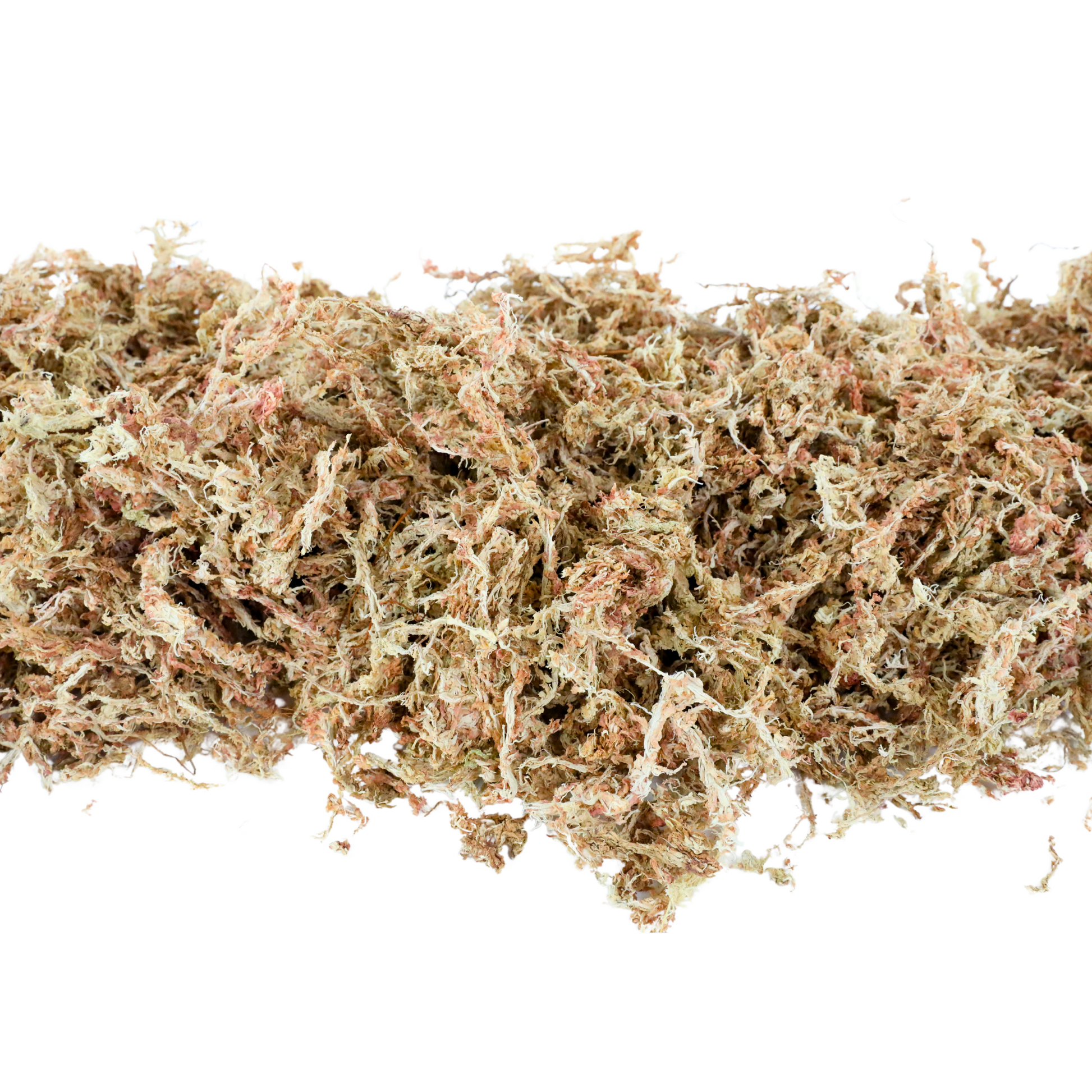 Premium Sphagnum Moss Mossify