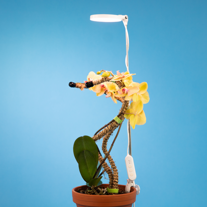 Lampe LED Ajustable pour Plantes – Mossify Mossify