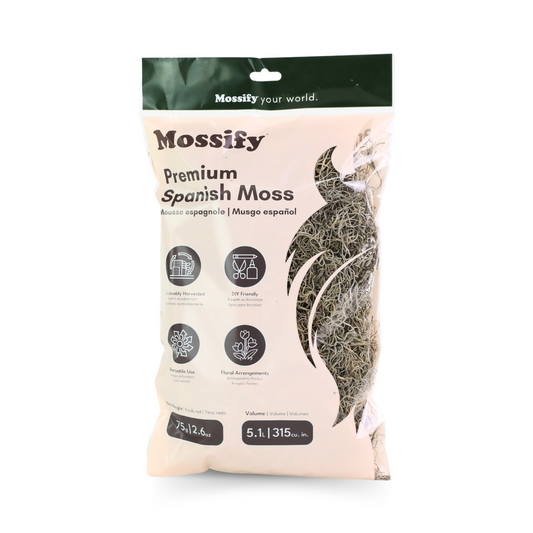 Premium Spanish Moss Mossify