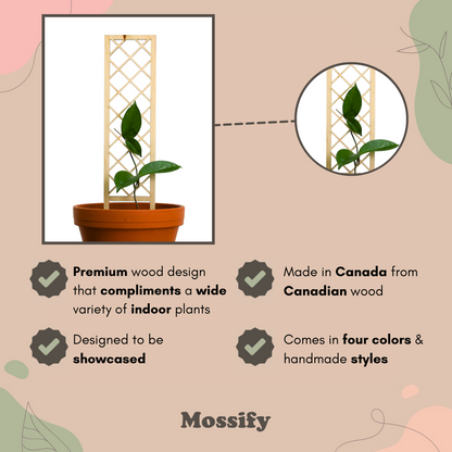 Cross-Hatch Wooden Trellis Mossify