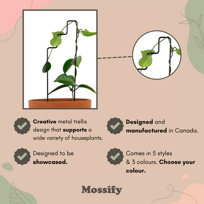 "Plant Stairs" Metal Trellis Mossify