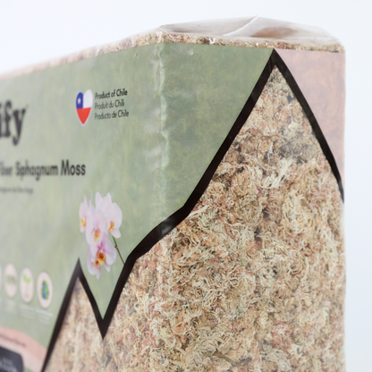 Premium Sphagnum Moss Mossify