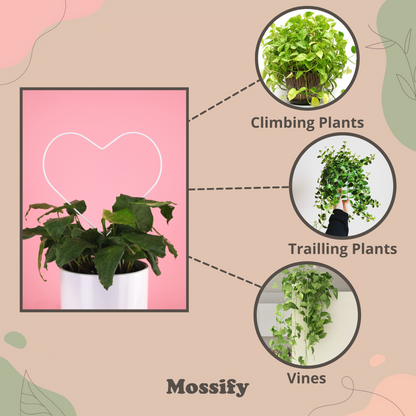 Heart "Give Love" Metal Trellis Mossify