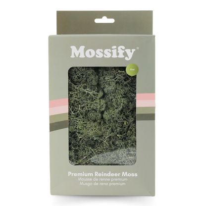 Premium Preserved Reindeer Moss Mossify