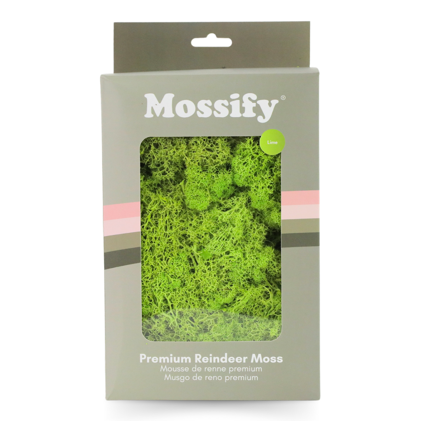 Premium Preserved Reindeer Moss Mossify