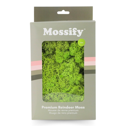 Premium Preserved Reindeer Moss Mossify