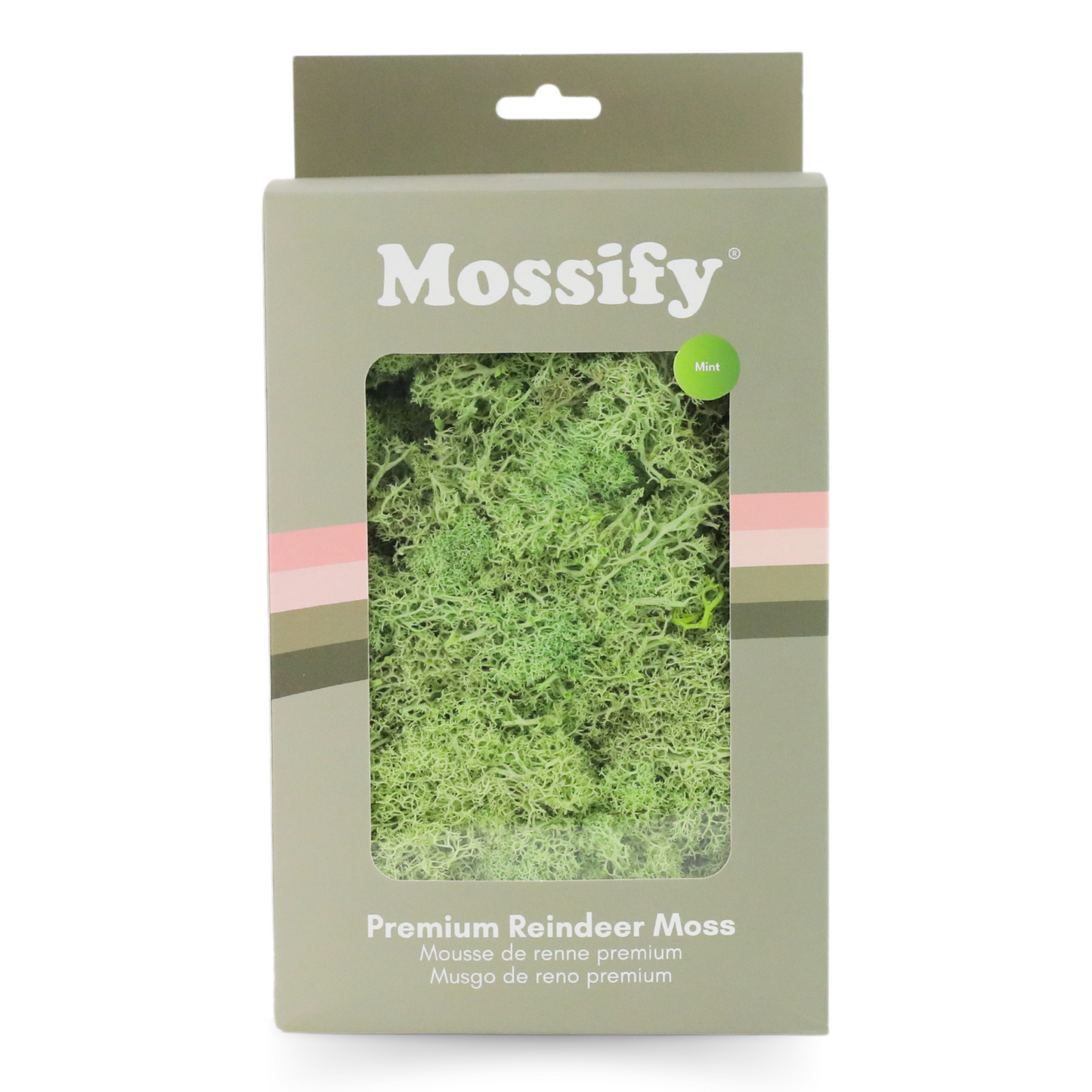 Premium Preserved Reindeer Moss Mossify