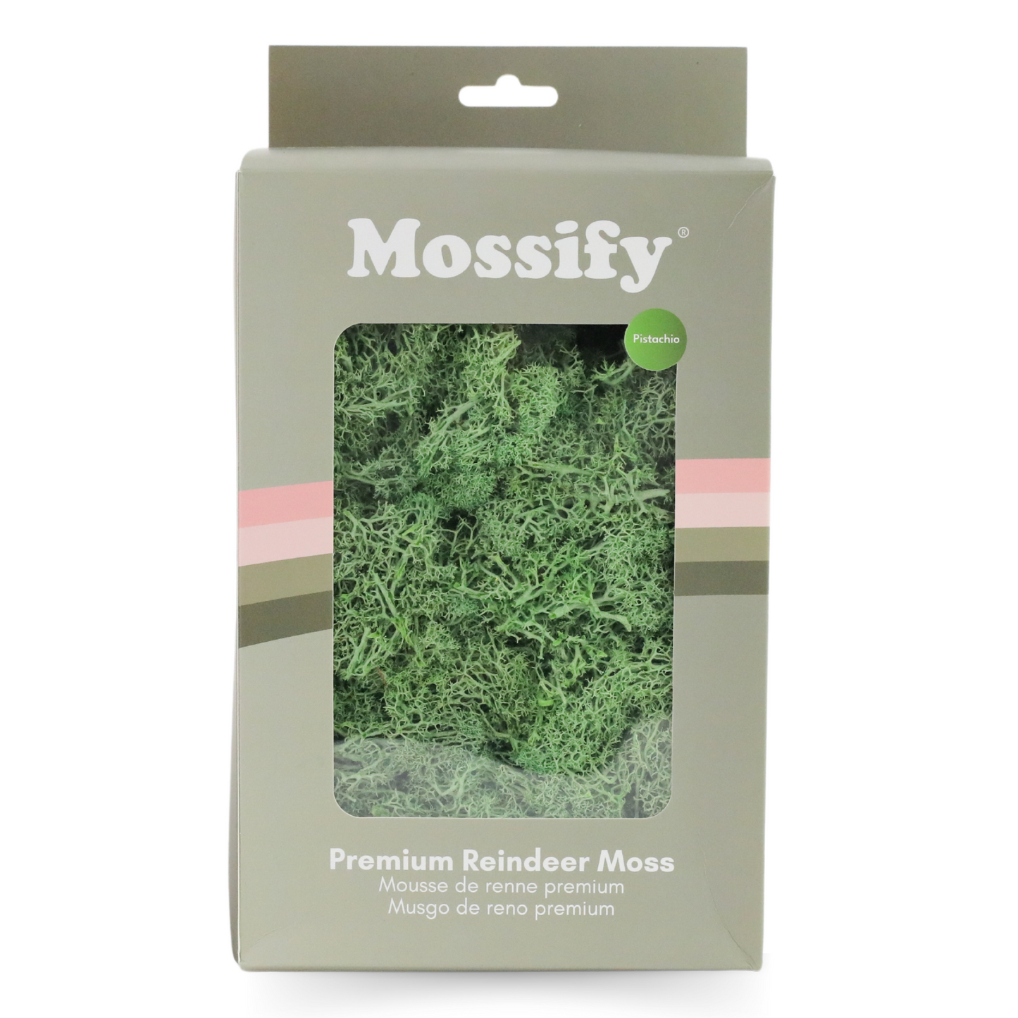 Premium Preserved Reindeer Moss Mossify