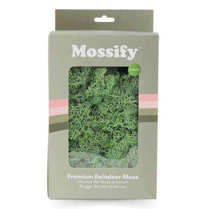 Premium Preserved Reindeer Moss Mossify