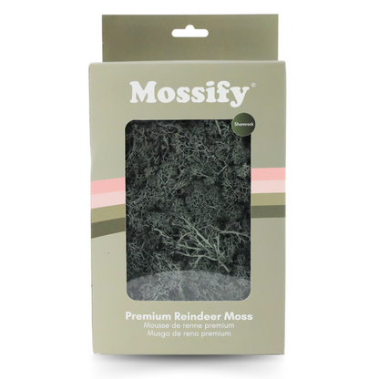 Premium Preserved Reindeer Moss Mossify