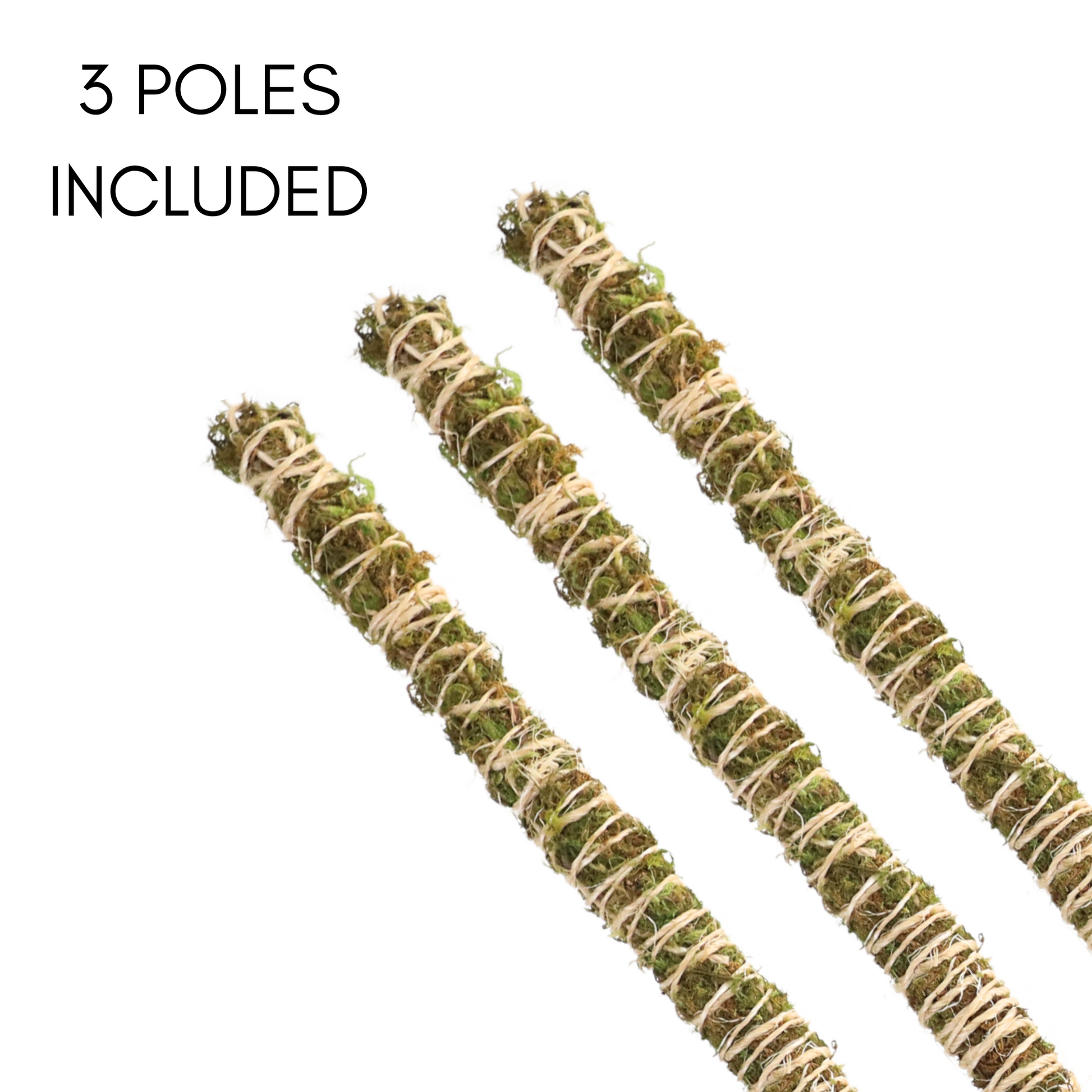 The Bendable Moss Pole™ 𝘛𝘏𝘐𝘕 Mossify