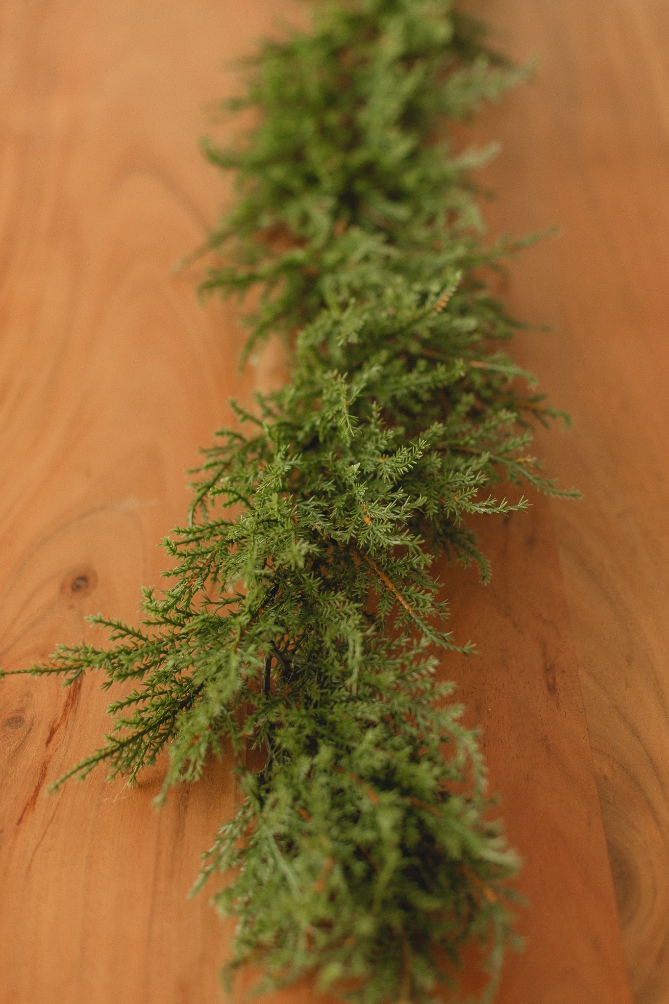 Cedar Garlands Eucalypt Co.