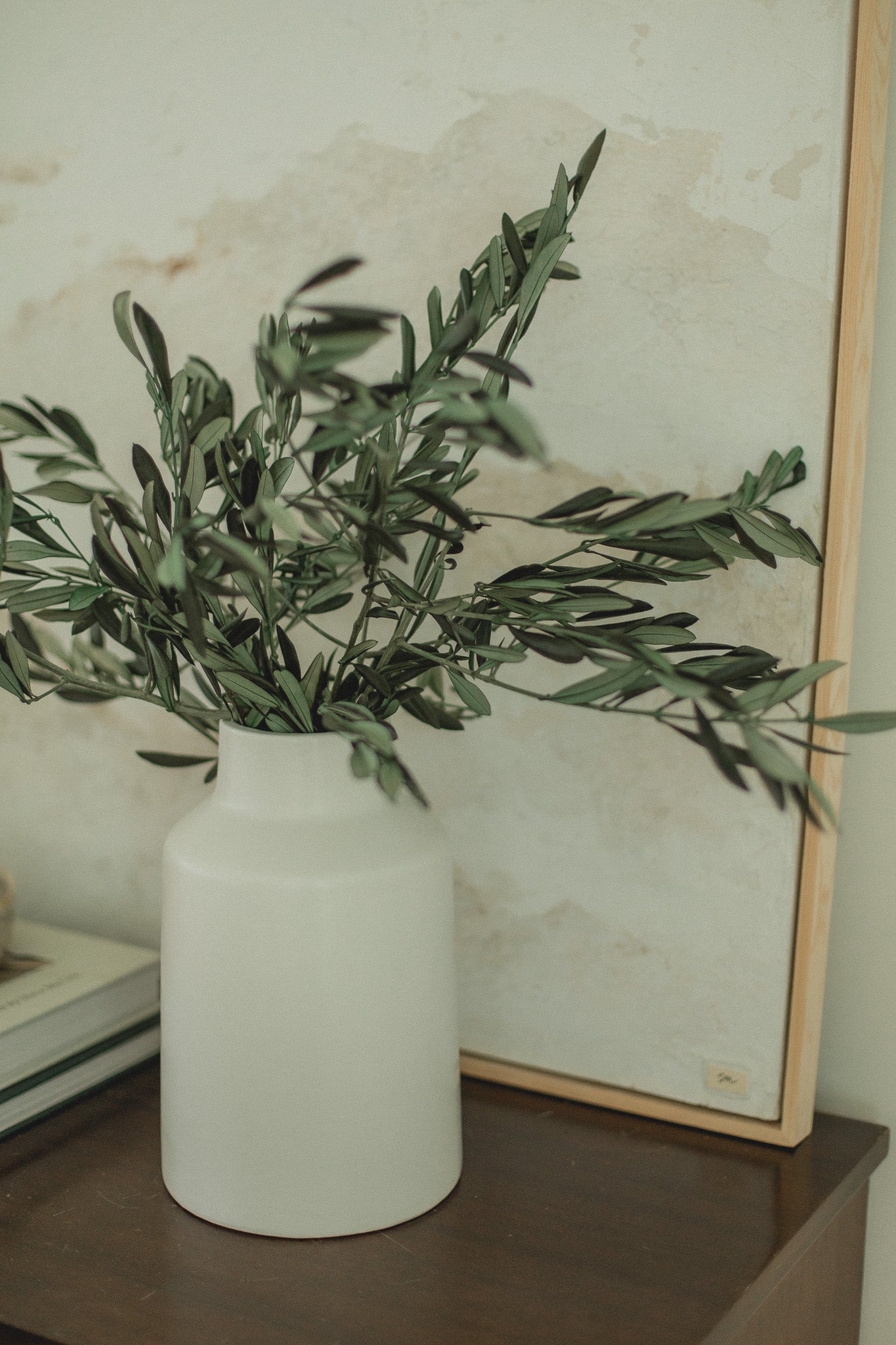 Italian Olive Stems Eucalypt Co.