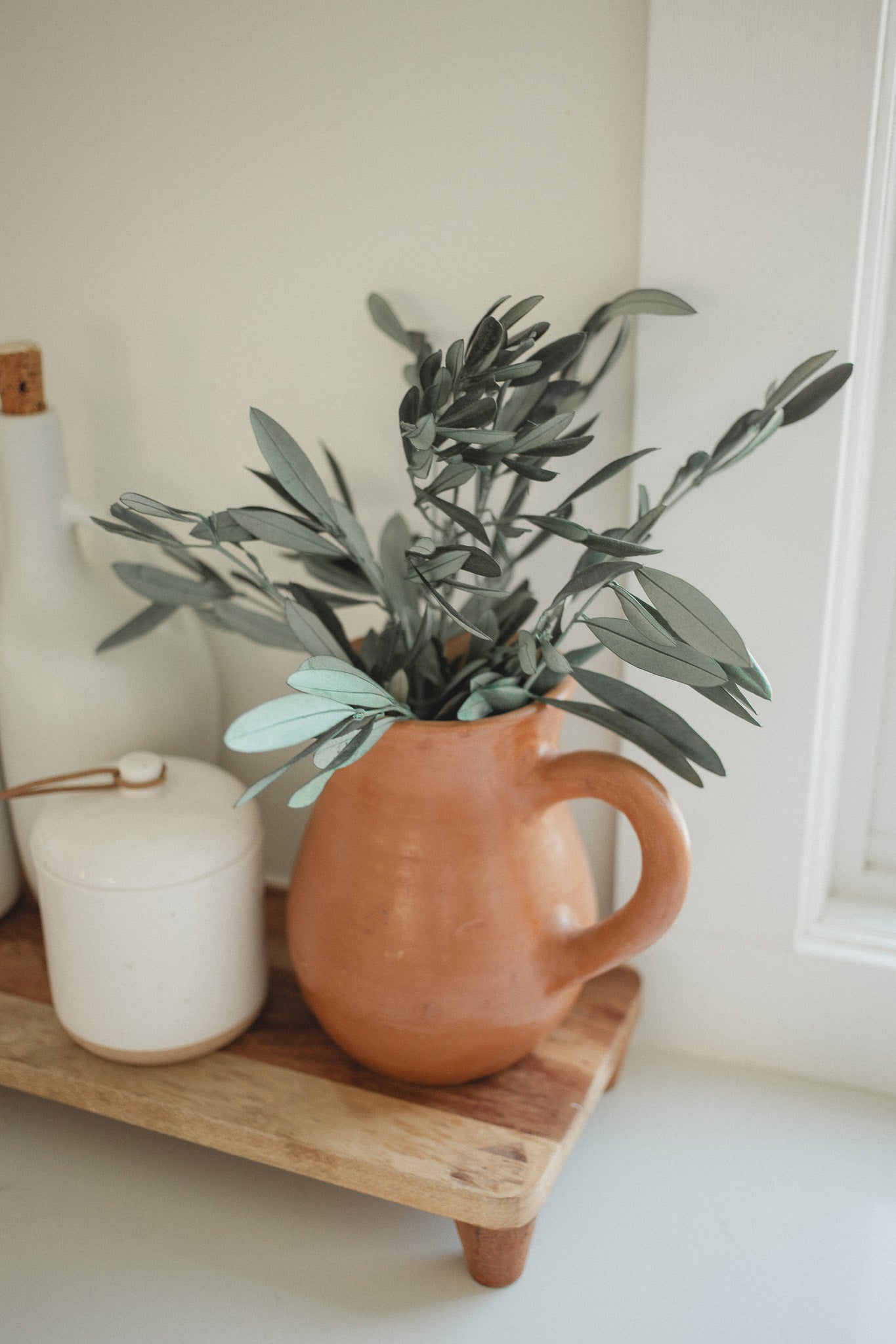 Italian Olive Stems Eucalypt Co.