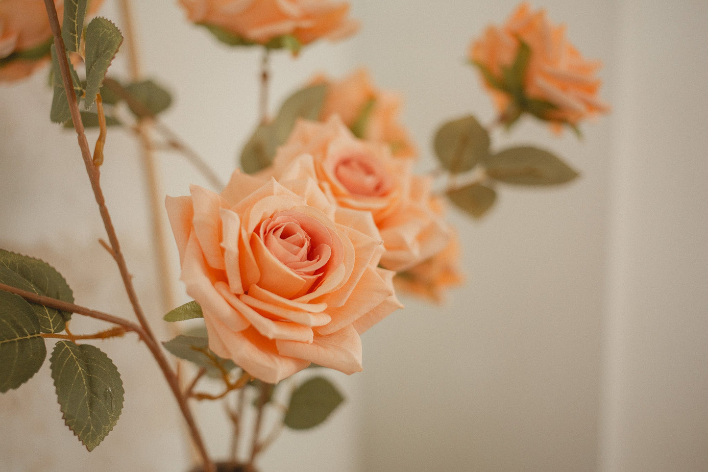 3 Blossom Rose Stem Eucalypt Co.