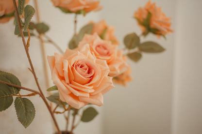 3 Blossom Rose Stem Eucalypt Co.