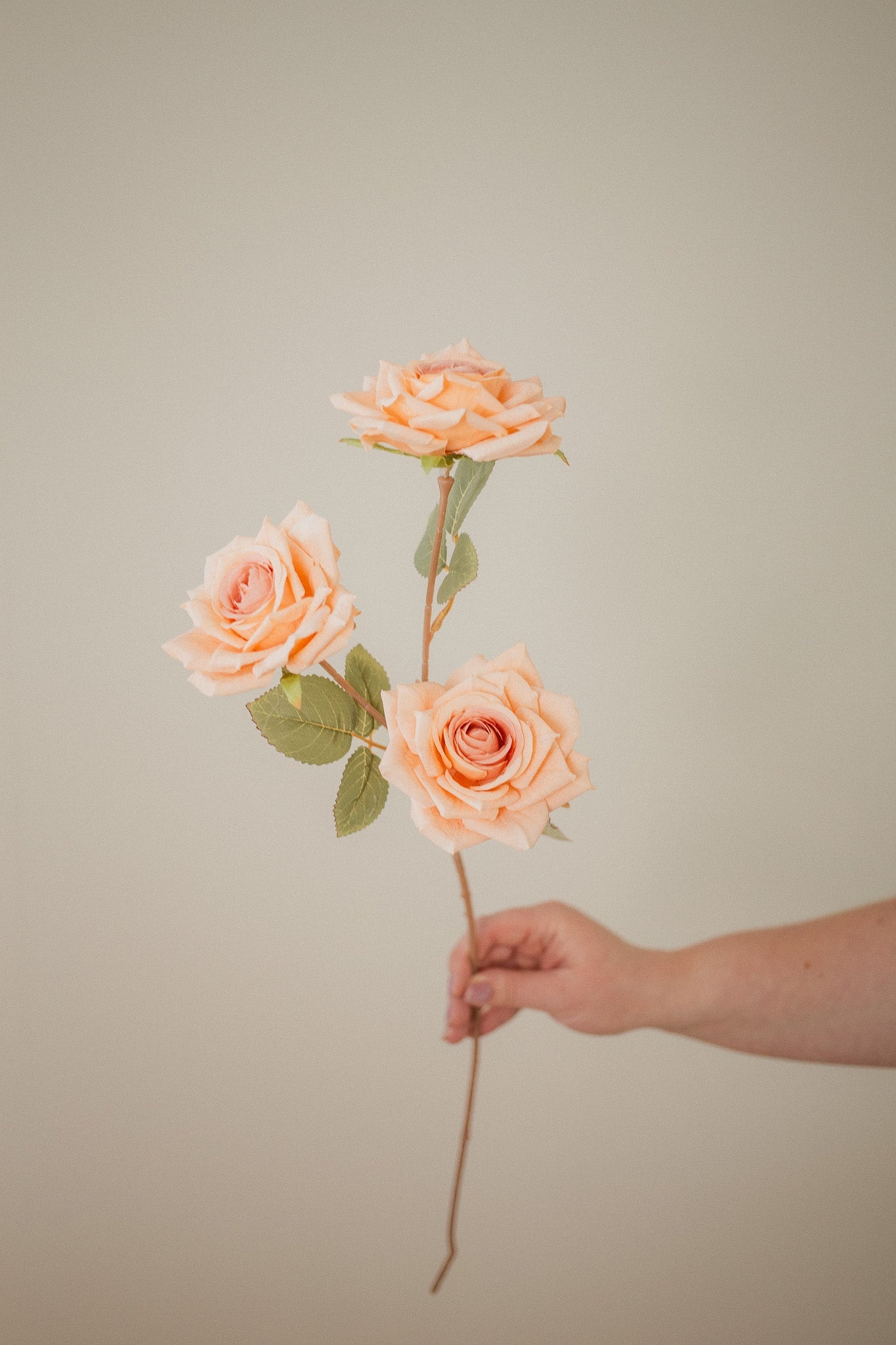 3 Blossom Rose Stem Eucalypt Co.