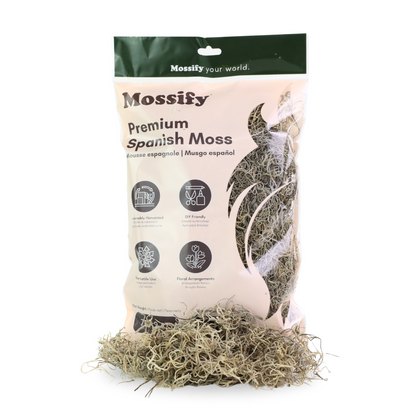 Premium Spanish Moss Mossify