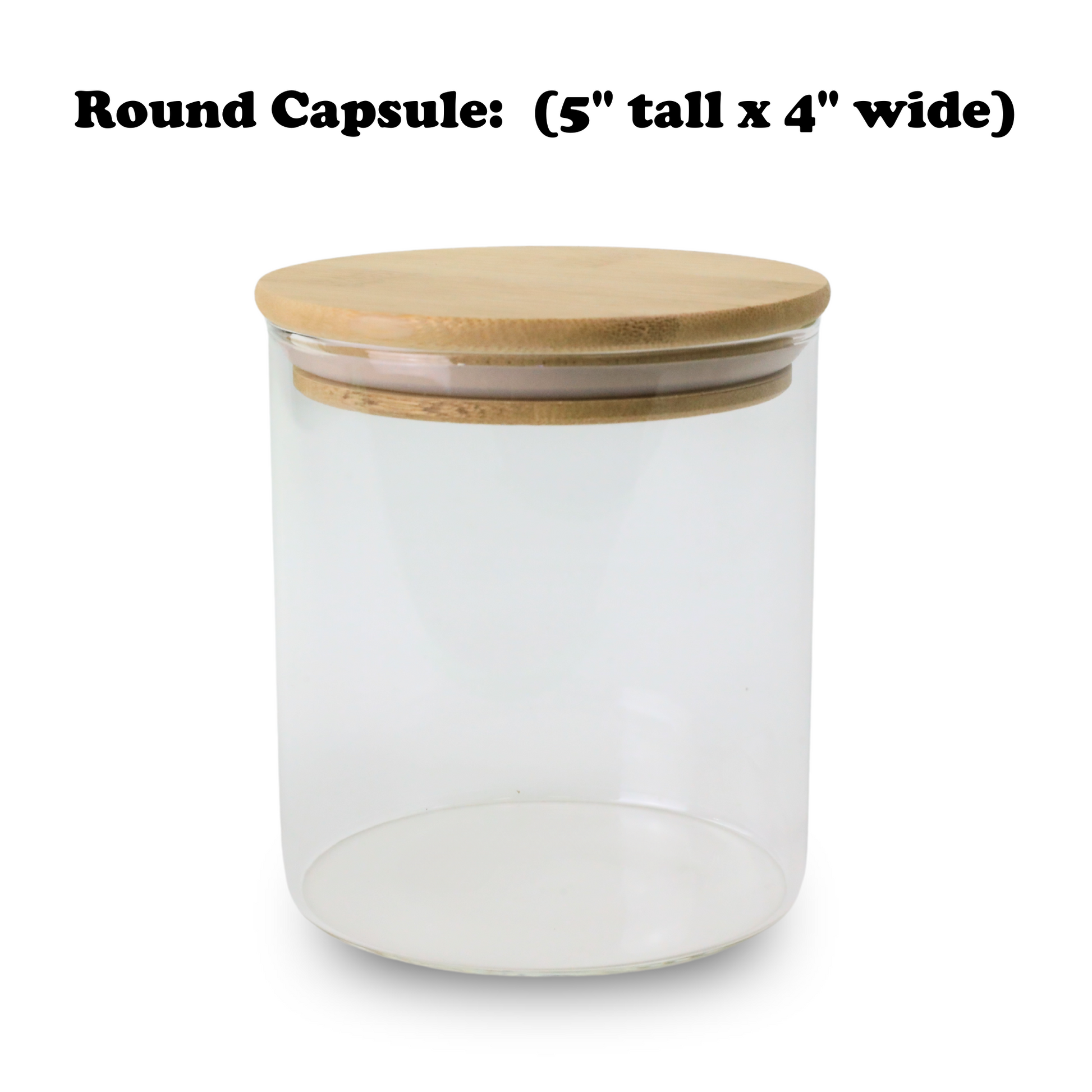 Mossify Terrarium Kit Mossify