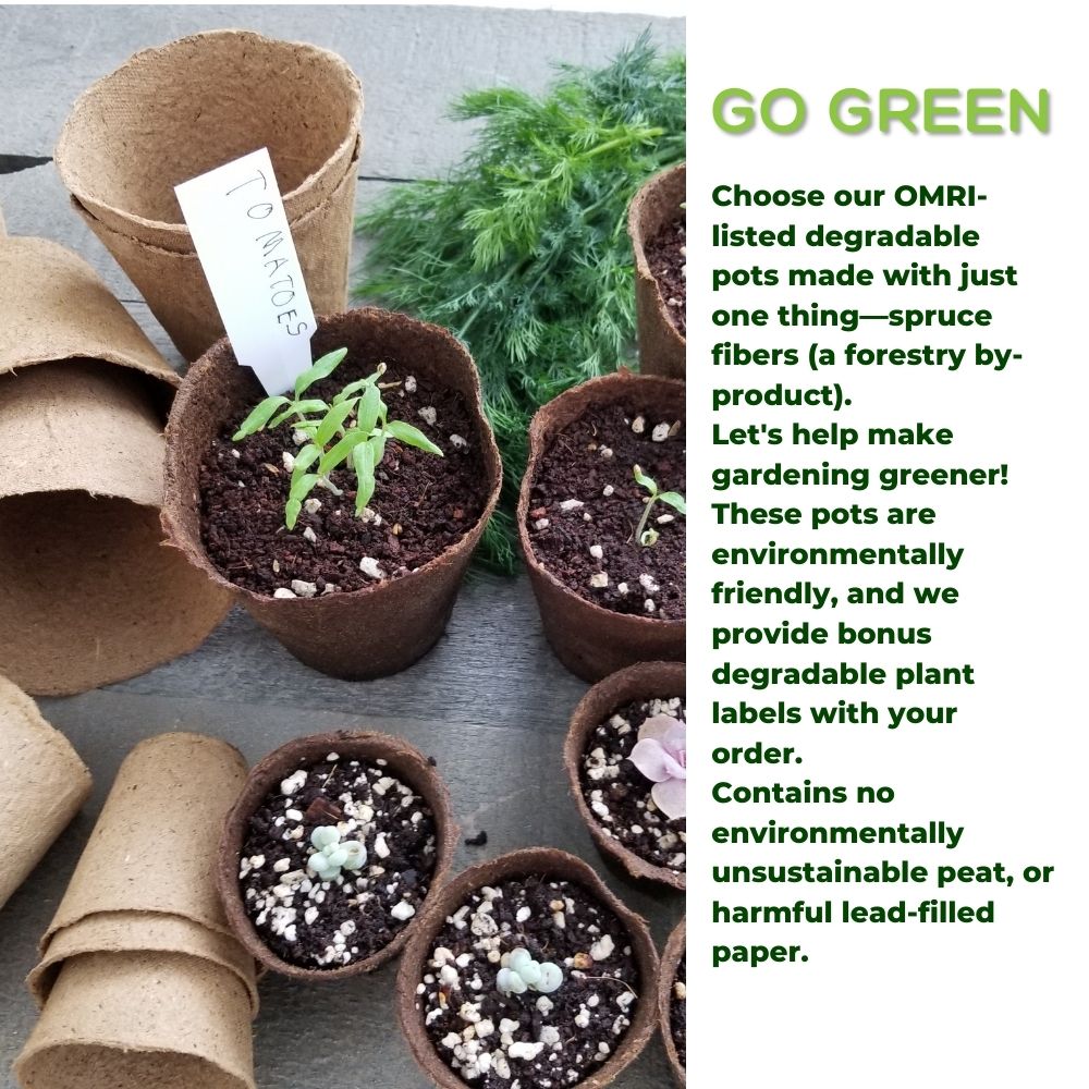 4" Naked Pots | Plantable Seed Starter Pots - Organic & Biodegradable Daniel's Plants