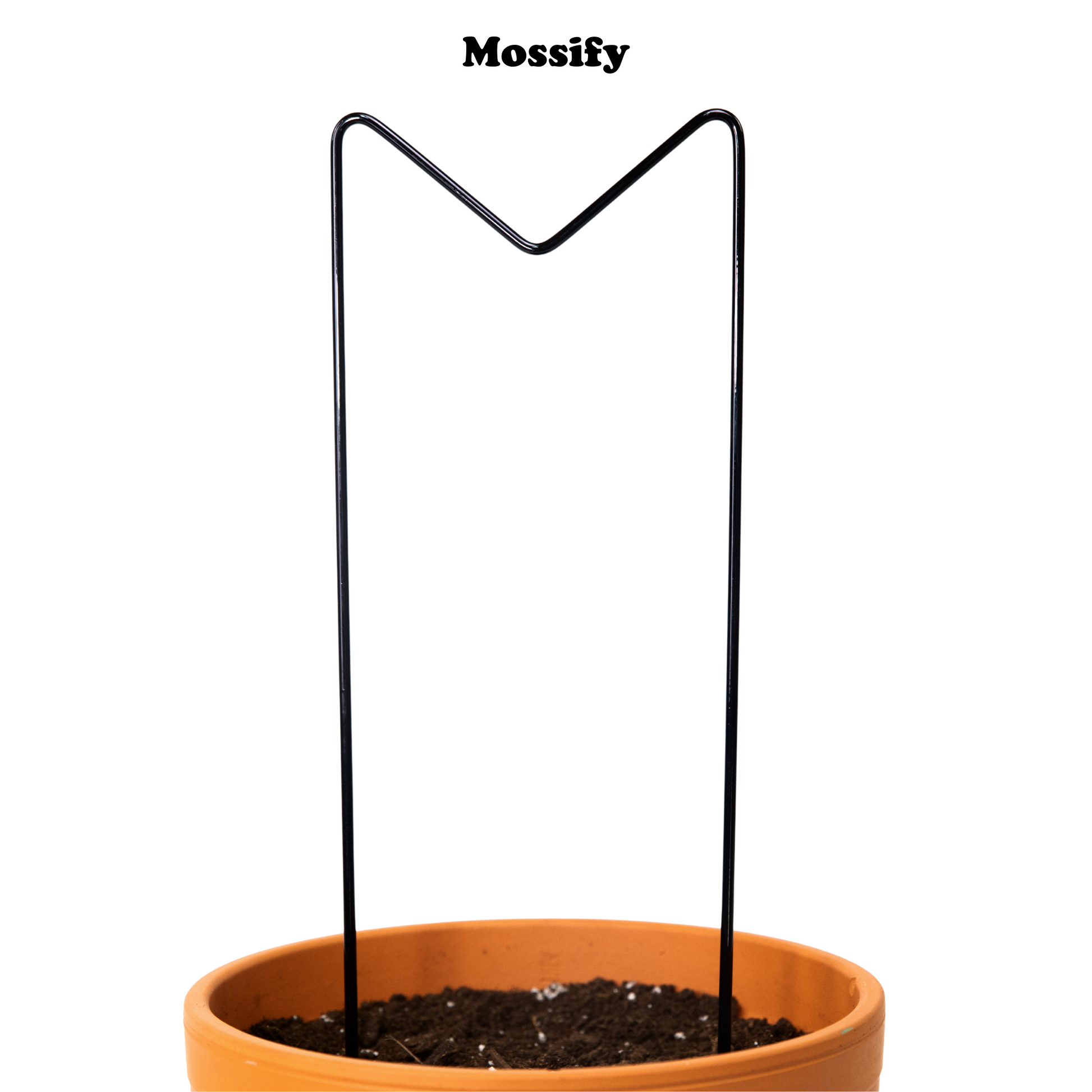 "M" Metal Trellis Mossify