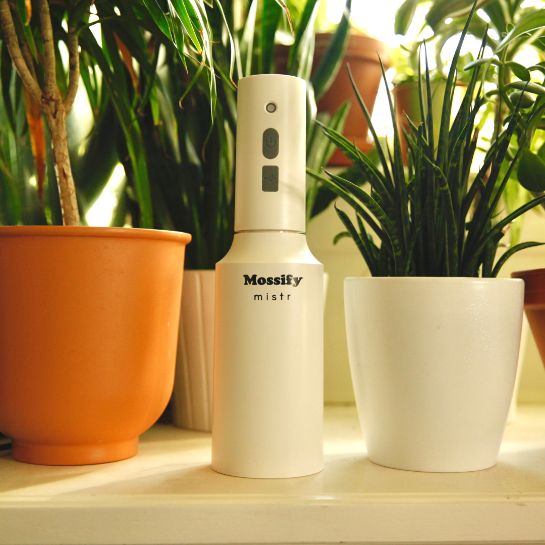 The Original Mossify mistr™ Mossify