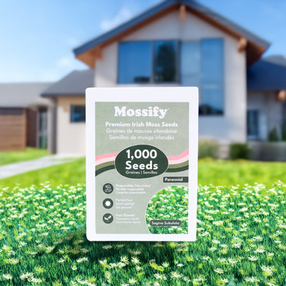 Premium Irish Moss Seeds - Sagina Subulata Seeds Mossify