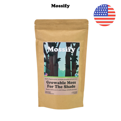 Growable Moss for the Shade Mossify